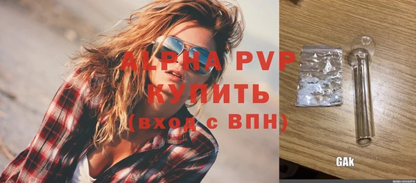 сатива Болхов