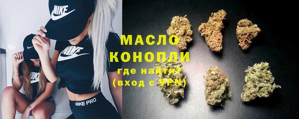 крисы Няндома