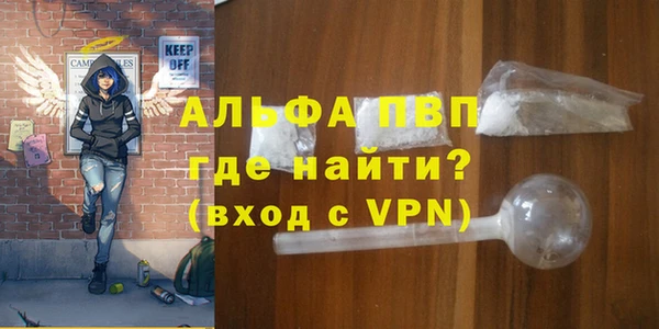 сатива Болхов